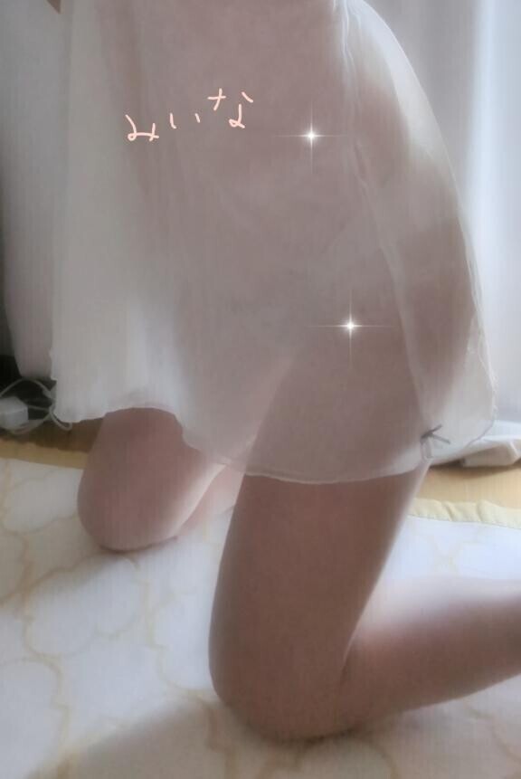 今日の予定