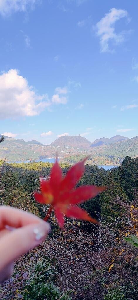 紅葉