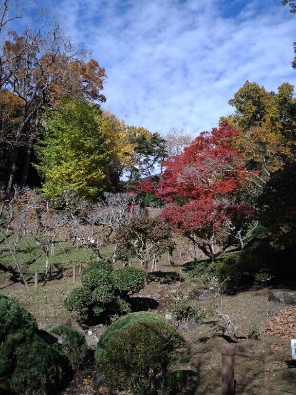 [お題]from:トンボさん