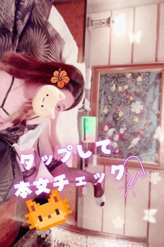 今月後半のあやみの予定????