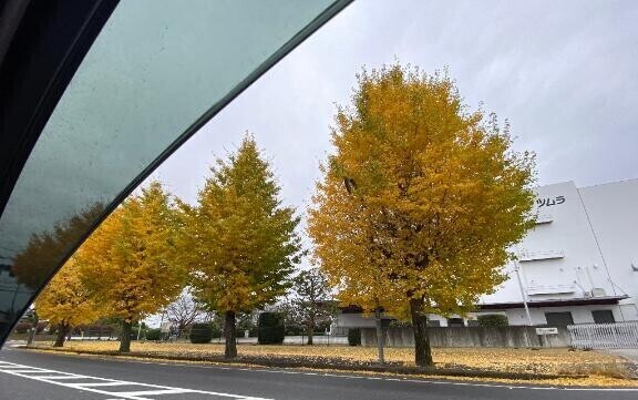 [お題]from:日曜デートやねんさん