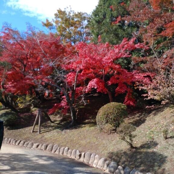 [お題]from:日曜デートやねんさん