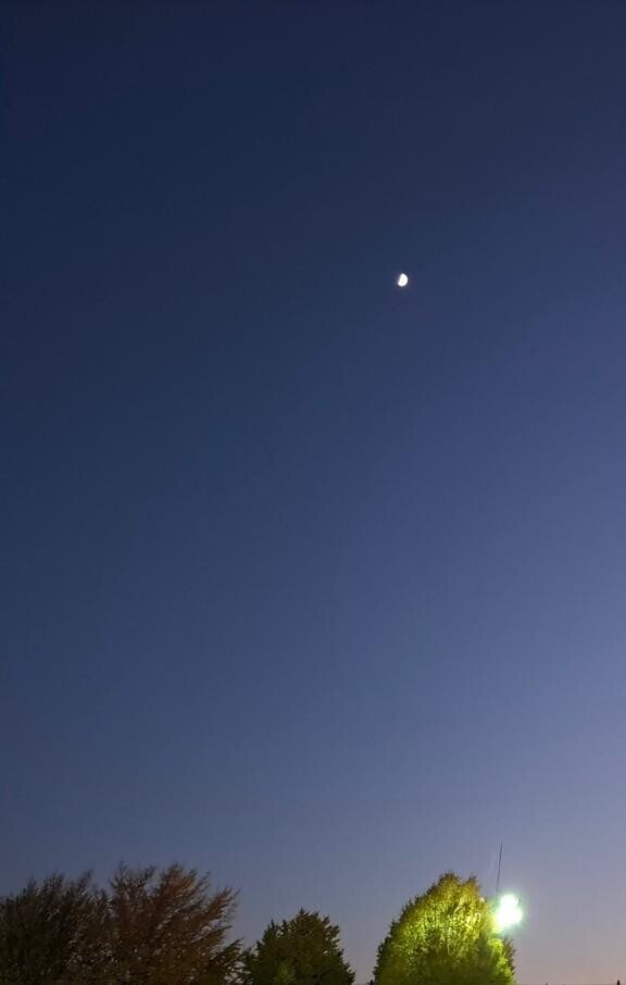 今夜は月が綺麗だね???