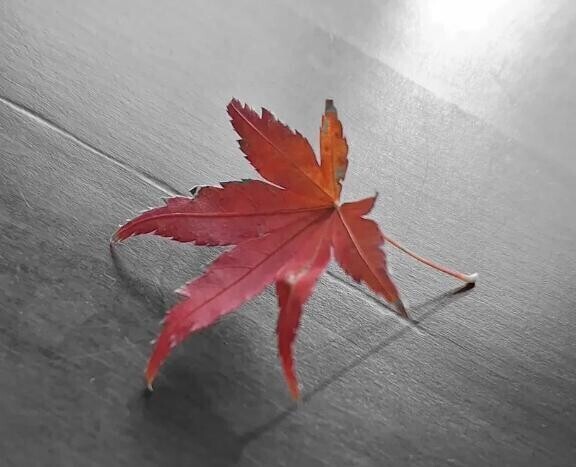 メッセージに返信ありがとう