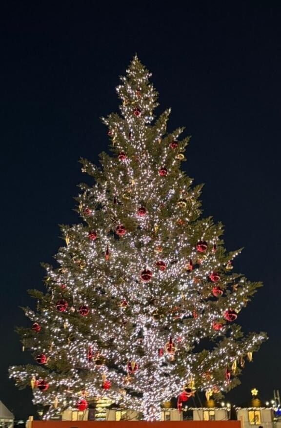 クリスマスマーケット?