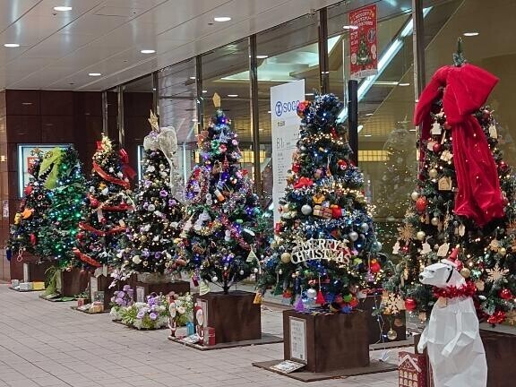 昨日は風ヤバかったね…