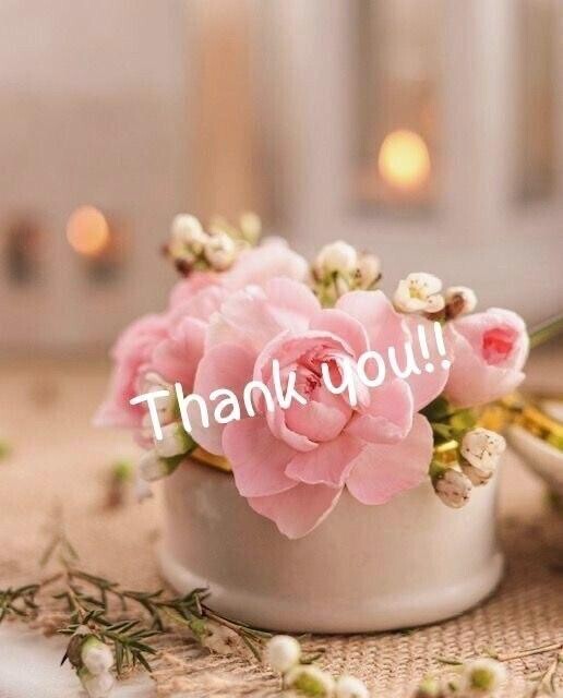 レモンツリーH様?