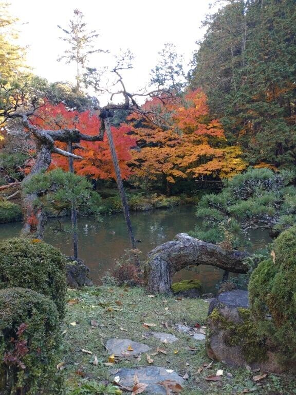 受付終了しました