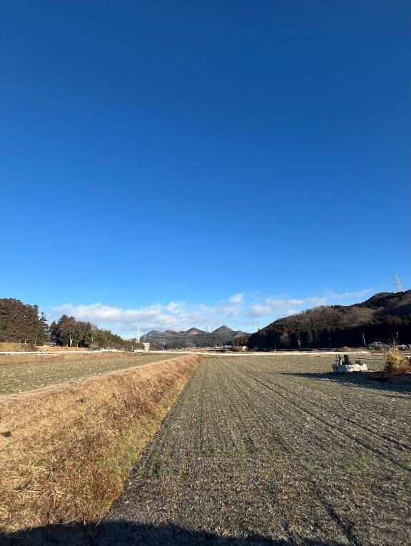 ?自然に囲まれて…と出勤予定?