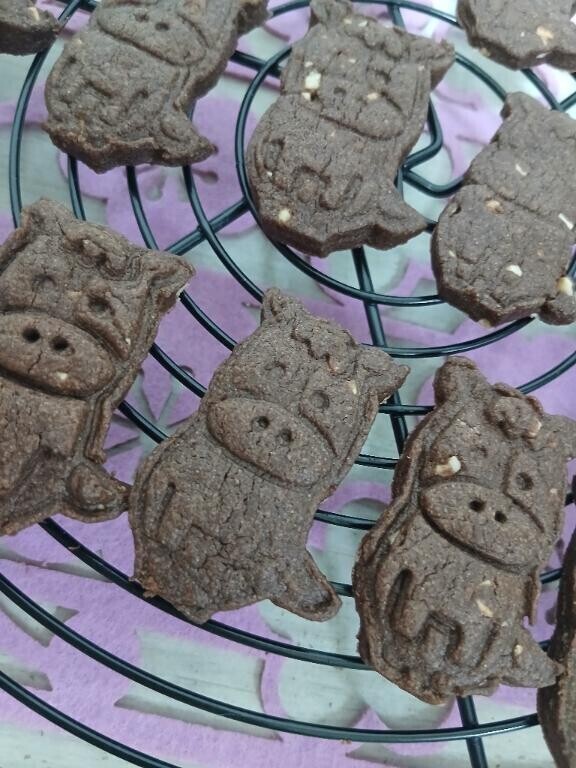 かけあがろぅ！