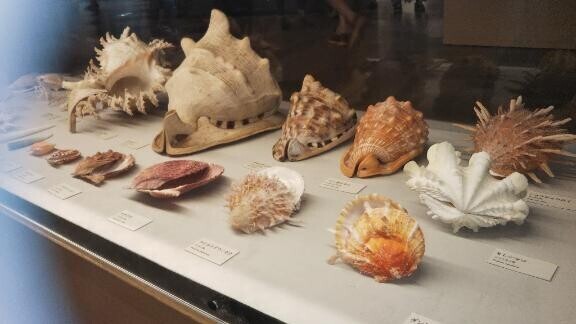 今日はありがとうございました???