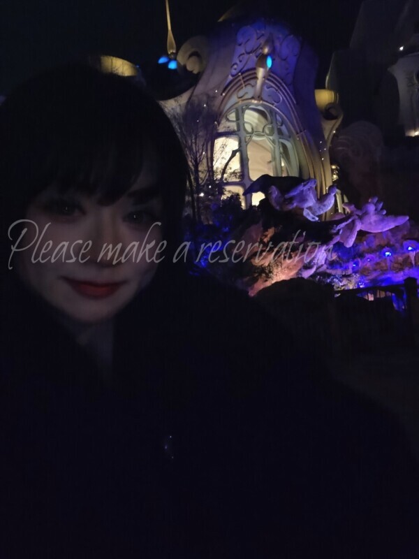 過密スケジュールなディズニーの1日