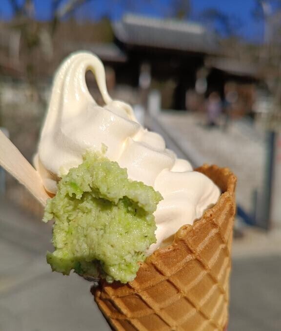 ?1月31日キャンセル枠?