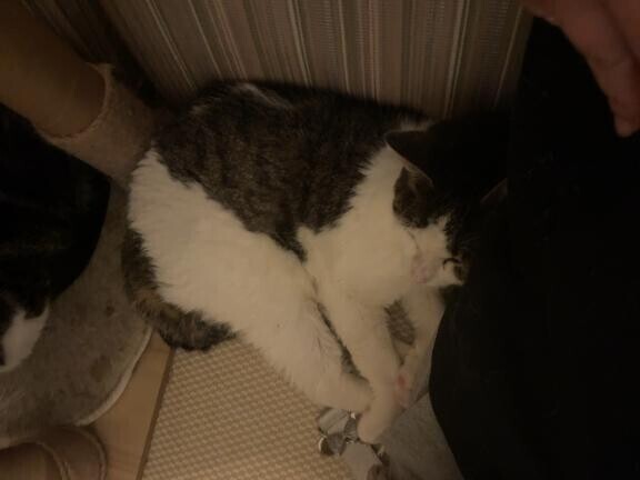 この後出勤です?