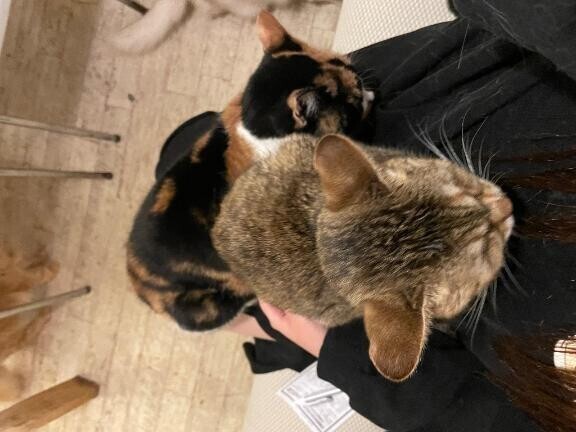 会いに来てね??