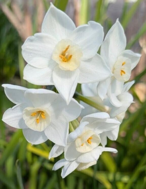 4月は月曜日に出勤を考えています