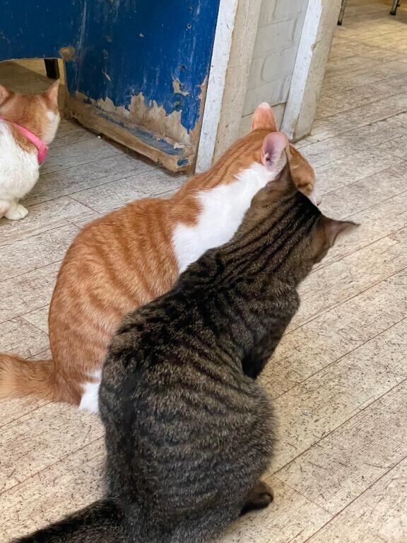 ご予約くださった本指名様へ?