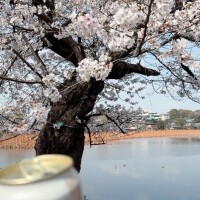 ここみ
