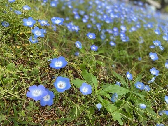 明日から出勤します?