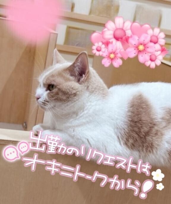 ??追加???