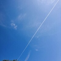 ほなみ