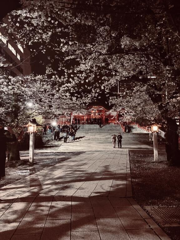 ちょっと寄り道🚶