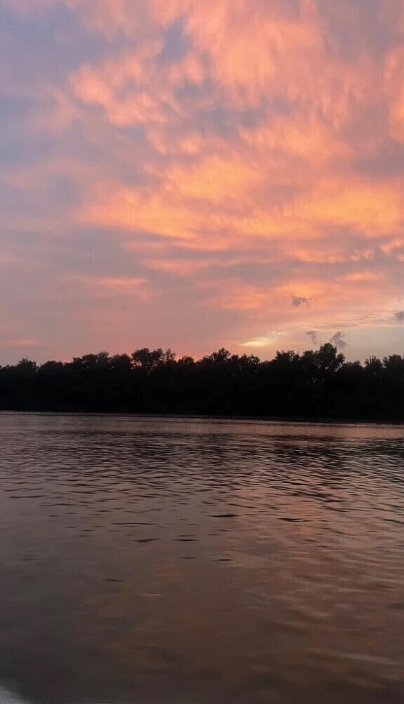 花粉舞うこの季節に。