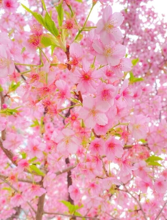 お休みweekの過ごし方🌸