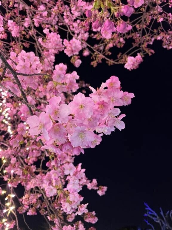 どタイプなお兄さんでした🤭❤️