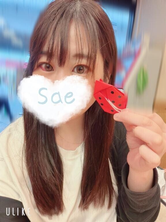 本日の報酬