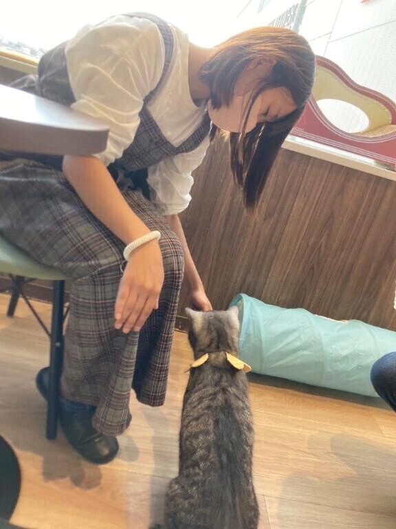君への愛は更新中