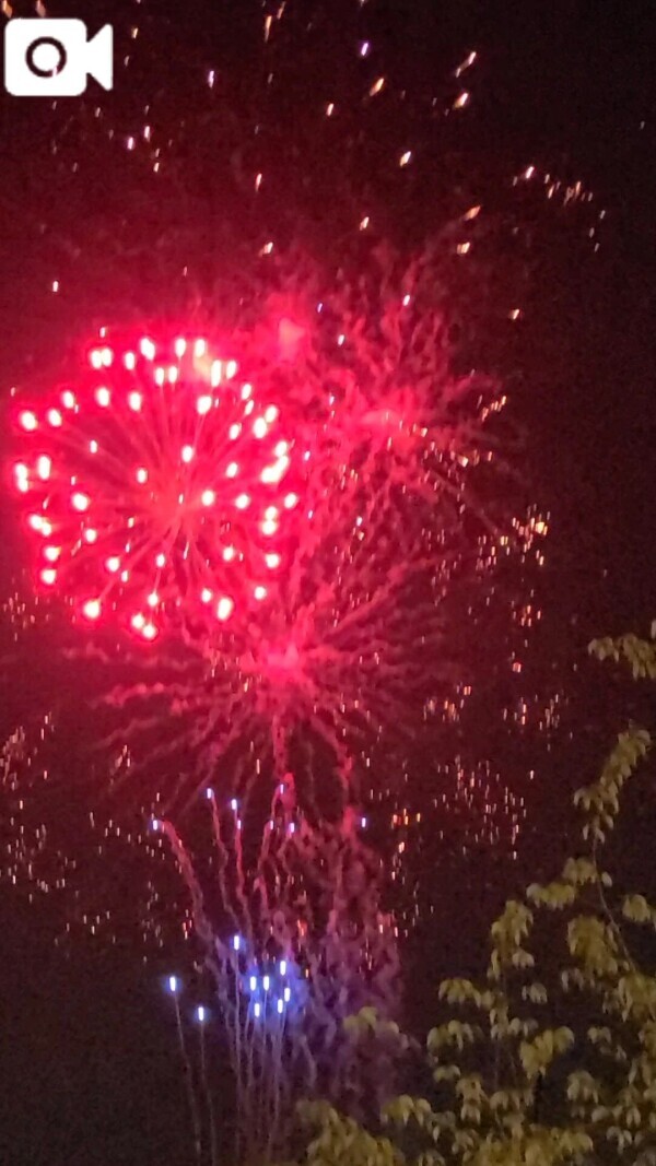 🎆夏の風物詩🎆