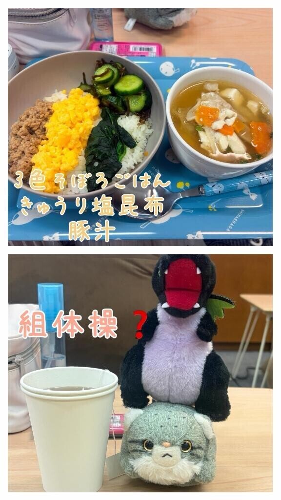 本日の待機飯????