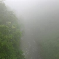 かほ