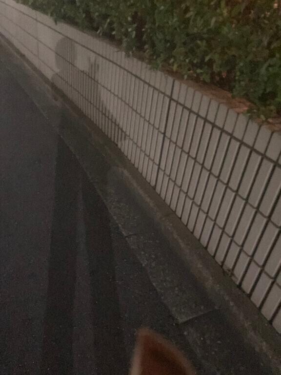 普段はね