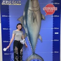 さら