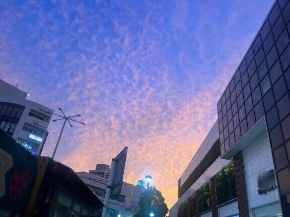 素直に綺麗だなって思った