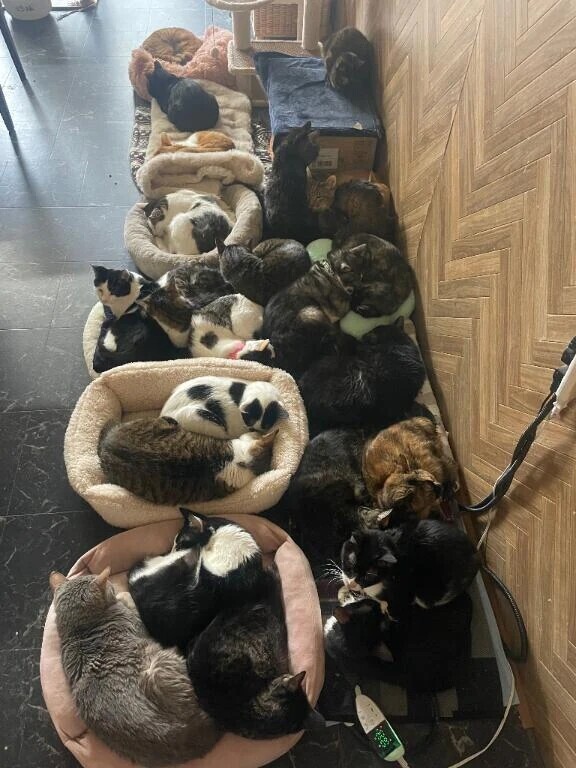 こんな日はこれで決まり🥺