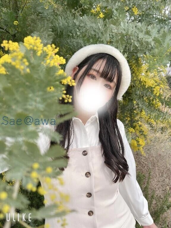 えだ！まめぇ🫛