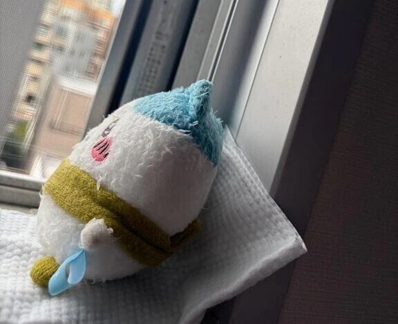 たそがれハチワレ