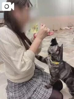 次回24時頃🍀*゜