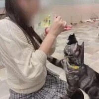 さえ