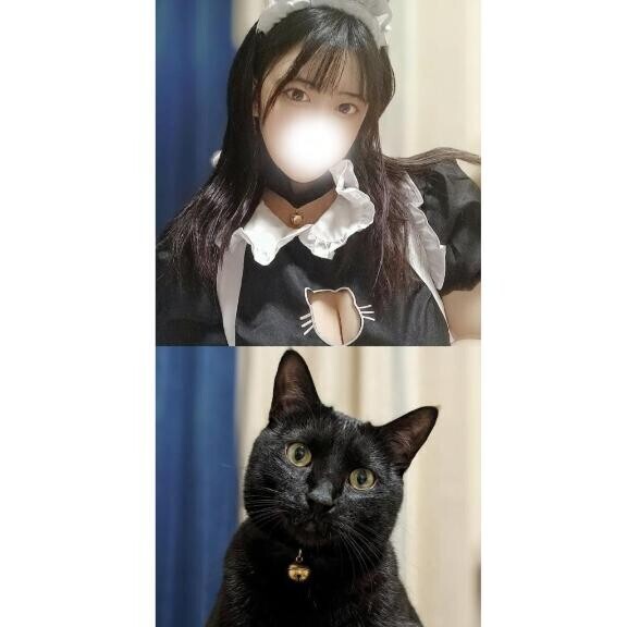にゃんにゃんメイドさん???
