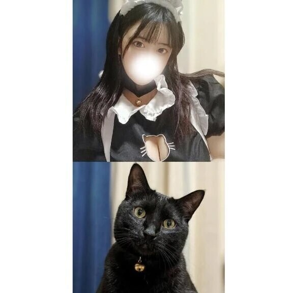 にゃんにゃんメイドさん🐈‍⬛
