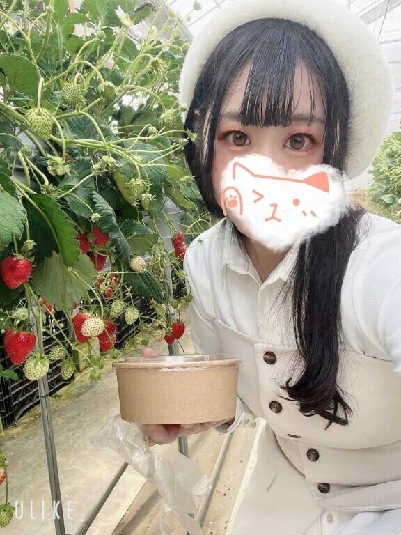 さえトリセツ‪🦜‬