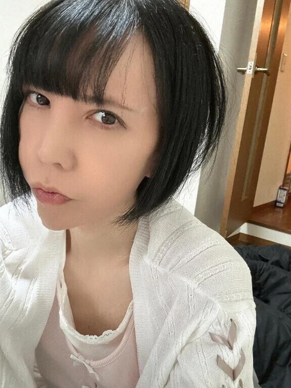 本日の予定