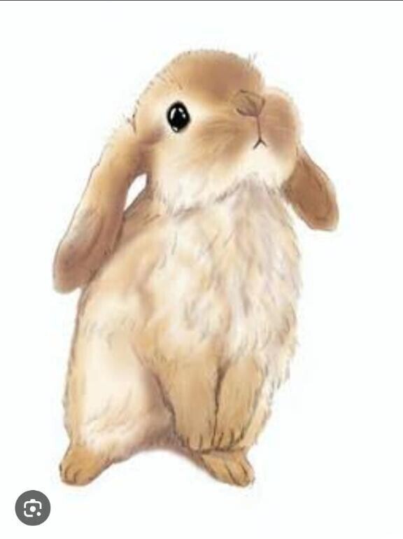こんにちは🐇