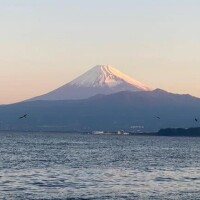 らいき