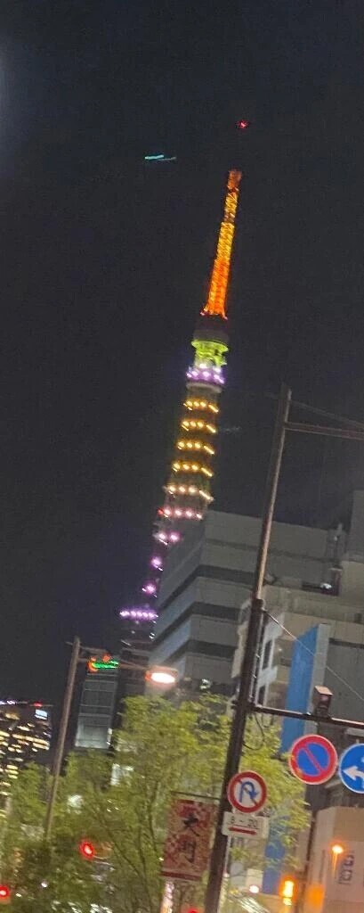 東京タワー🗼久しぶりに見た👀