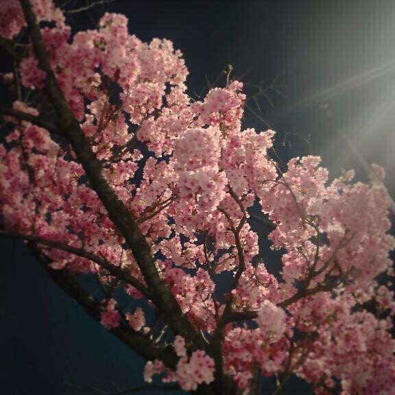 ２２時まで⏳❕